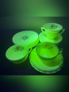 MacBeth-Evans Chinex Classic Bouquet Custard Glass Glow 1930s Dish Lot -16 Piece